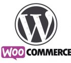 wordpress-woo-commerce-1